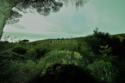 Helårsgrund i Alcabideche, Lisbon, Alcabideche - € 225.000 | Ref: 1356-01138 - foto 10