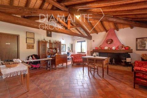 Farm hus i Galtelli, Nuoro, Galtelli - € 1.990.000 | Ref: RP-839437-839437 - foto 4