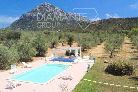 Farm hus i Galtelli, Nuoro, Galtelli - € 1.990.000 | Ref: RP-839437-839437 - foto 9