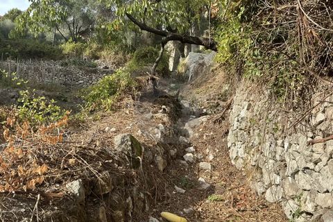Helårsgrund i Gorbio, Alpes-Maritimes, Gorbio - € 45.000 | Ref: D15872 - foto 2
