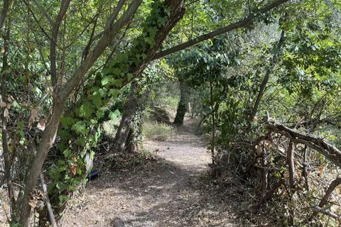Helårsgrund i Gorbio, Alpes-Maritimes, Gorbio - € 45.000 | Ref: D15872 - foto 4