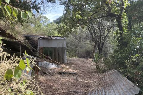 Helårsgrund i Gorbio, Alpes-Maritimes, Gorbio - € 45.000 | Ref: D15872 - foto 5