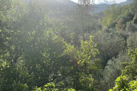 Helårsgrund i Gorbio, Alpes-Maritimes, Gorbio - € 45.000 | Ref: D15872 - foto 6