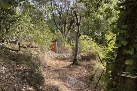 Helårsgrund i Gorbio, Alpes-Maritimes, Gorbio - € 45.000 | Ref: D15872 - foto 7