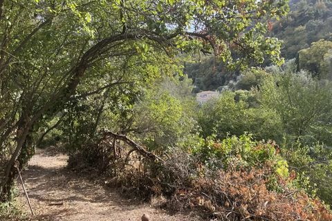 Helårsgrund i Gorbio, Alpes-Maritimes, Gorbio - € 45.000 | Ref: D15872 - foto 8