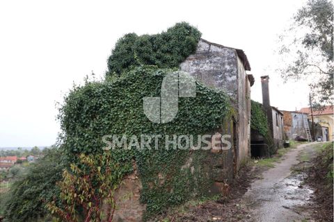 Villa a Azere e Covelo, Coimbra, Azere e Covelo - € 24.500 | Ref: SHAP307 - foto 3