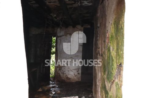 Villa a Azere e Covelo, Coimbra, Azere e Covelo - € 24.500 | Ref: SHAP307 - foto 6