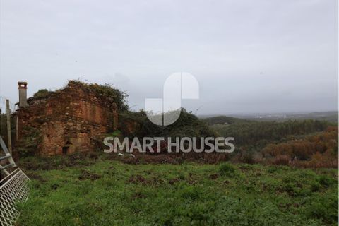 Villa a Azere e Covelo, Coimbra, Azere e Covelo - € 24.500 | Ref: SHAP307 - foto 8