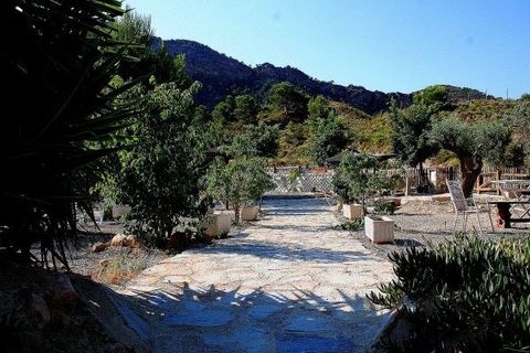 Landejendom i Murcia, Murcia, Murcia - € 450.000 | Ref: R1284/13477 - foto 6