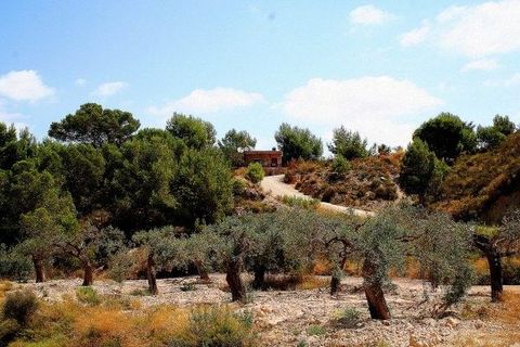 Landejendom i Murcia, Murcia, Murcia - € 450.000 | Ref: R1284/13477 - foto 7