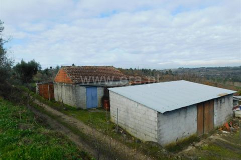 Tomt i Seia, Guarda, Seia - € 42 000 | Ref: 382260008 - foto 2
