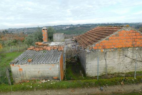 Tomt i Seia, Guarda, Seia - € 42 000 | Ref: 382260008 - foto 3