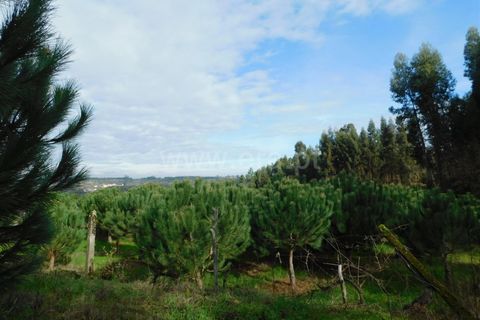 Tomt i Seia, Guarda, Seia - € 42 000 | Ref: 382260008 - foto 9