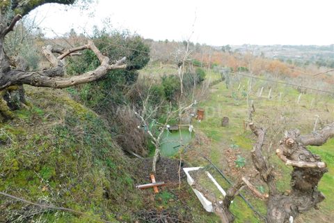 Tomt i Seia, Guarda, Seia - € 42 000 | Ref: 382260008 - foto 10