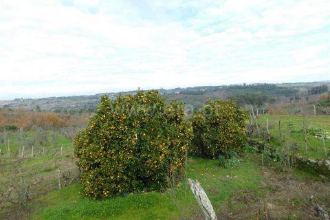 Tomt i Seia, Guarda, Seia - € 42 000 | Ref: 382260008 - foto 12