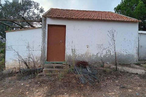 Farm hus i Alcacer do Sal, Setubal, Alcacer do Sal - € 180.000 | Ref: 121681266-35 - foto 15
