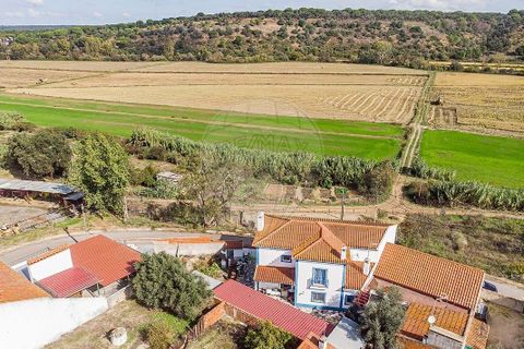 Villa i Alcacer do Sal, Setubal, Alcacer do Sal - € 318.000 | Ref: 121681265-32 - foto 8