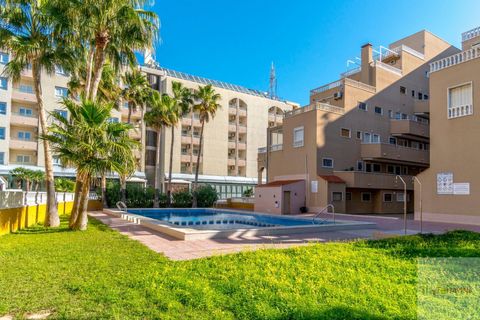 Lejlighed i Punta Prima, Alicante, Punta Prima - € 145.000 | Ref: R11861 - foto 29