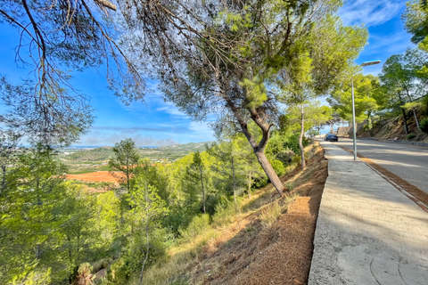 Helårsgrund i Valencia, Valencia, Valencia - € 1.790.000 | Ref: 802835 - foto 8