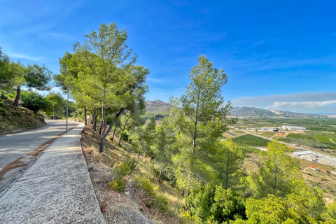 Helårsgrund i Valencia, Valencia, Valencia - € 1.790.000 | Ref: 802835 - foto 9