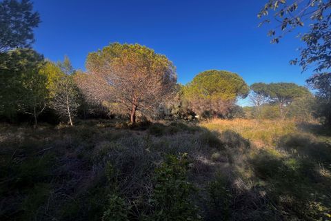 Terra a Girona, Gerona, Girona - € 700.000 | Ref: 803026 - foto 7