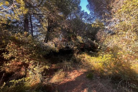 Terra a Girona, Gerona, Girona - € 700.000 | Ref: 803026 - foto 9