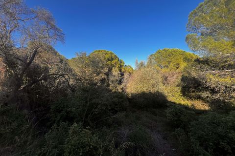Terra a Girona, Gerona, Girona - € 700.000 | Ref: 803026 - foto 11