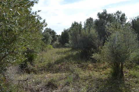 Helårsgrund i Beniarda, Alicante, Beniarda - € 34.000 | Ref: 6448 - foto 10