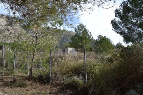 Helårsgrund i Beniarda, Alicante, Beniarda - € 34.000 | Ref: 6448 - foto 13