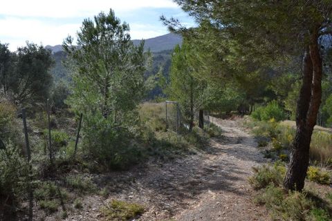 Helårsgrund i Beniarda, Alicante, Beniarda - € 34.000 | Ref: 6448 - foto 14