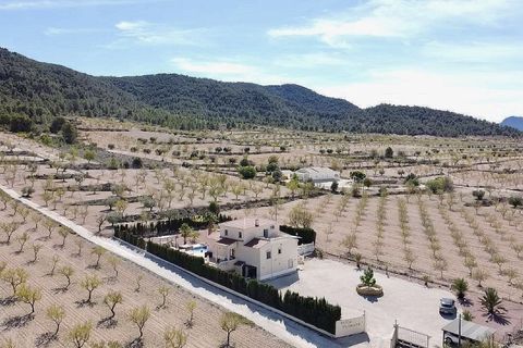 Villa a La Zarza, Alicante, La Zarza - € 499.000 | Ref: ELS9056 - foto 3