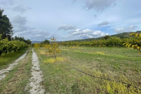 Tomt i Fundao, Castelo Branco, Fundao - € 118 500 | Ref: C0434-00224 - foto 18