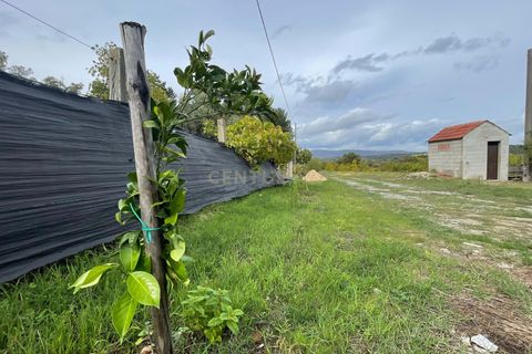 Tomt i Fundao, Castelo Branco, Fundao - € 118 500 | Ref: C0434-00224 - foto 22
