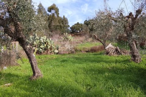Villa i Nisa, Portalegre, Nisa - € 27.500 | Ref: C0434-01177 - foto 11