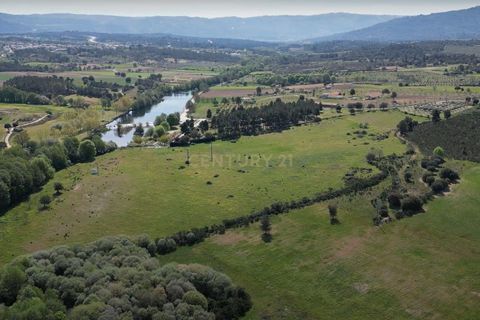 Terra a Celorico da Beira, Guarda, Celorico da Beira - € 450.000 | Ref: C0434-01178 - foto 3
