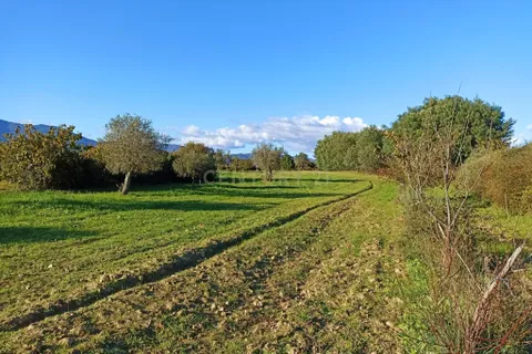 Helårsgrund i Covilha, Castelo Branco, Covilha - € 24.990 | Ref: C0434-01154 - foto 2