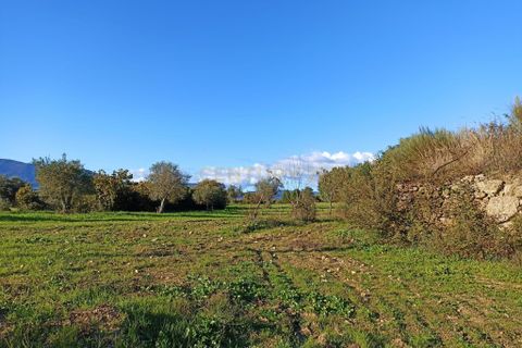 Helårsgrund i Covilha, Castelo Branco, Covilha - € 24.990 | Ref: C0434-01154 - foto 4