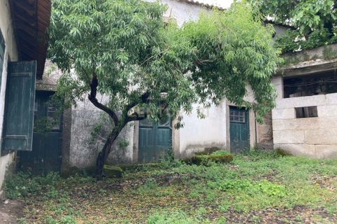Villa a Pinhel, Guarda, Pinhel - € 280.000 | Ref: C0434-01161 - foto 19