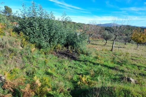 Helårsgrund i Castelo Branco, Castelo Branco, Castelo Branco - € 20.000 | Ref: C0434-00916 - foto 4