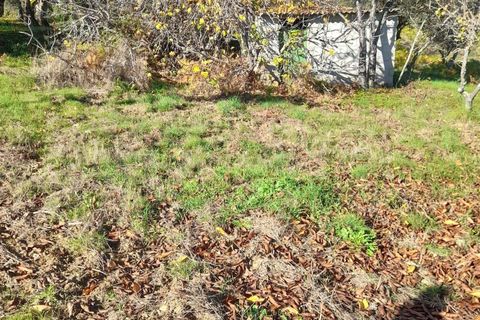 Helårsgrund i Castelo Branco, Castelo Branco, Castelo Branco - € 20.000 | Ref: C0434-00916 - foto 5