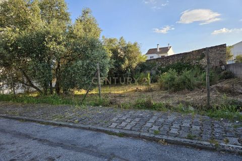 Helårsgrund i Castelo Branco, Castelo Branco, Castelo Branco - € 35.000 | Ref: C0434-01017 - foto 2