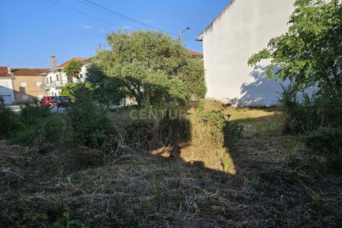 Helårsgrund i Castelo Branco, Castelo Branco, Castelo Branco - € 35.000 | Ref: C0434-01017 - foto 4