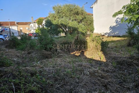 Helårsgrund i Castelo Branco, Castelo Branco, Castelo Branco - € 35.000 | Ref: C0434-01017 - foto 7