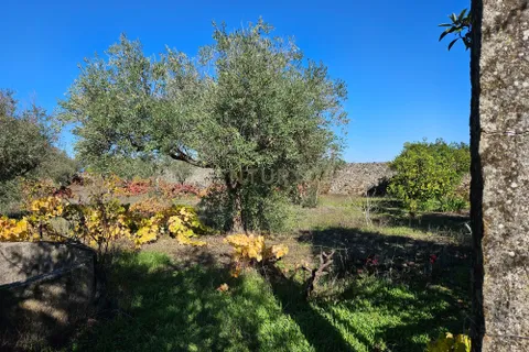 Helårsgrund i Castelo Branco, Castelo Branco, Castelo Branco - € 52.000 | Ref: C0434-01031 - foto 8