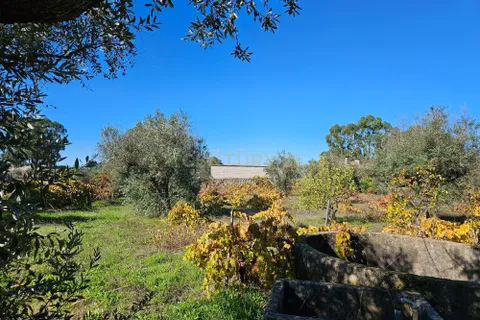 Helårsgrund i Castelo Branco, Castelo Branco, Castelo Branco - € 52.000 | Ref: C0434-01031 - foto 9
