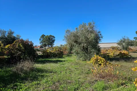 Helårsgrund i Castelo Branco, Castelo Branco, Castelo Branco - € 52.000 | Ref: C0434-01031 - foto 10
