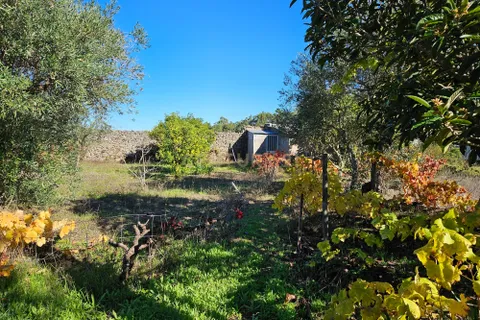 Helårsgrund i Castelo Branco, Castelo Branco, Castelo Branco - € 52.000 | Ref: C0434-01031 - foto 11