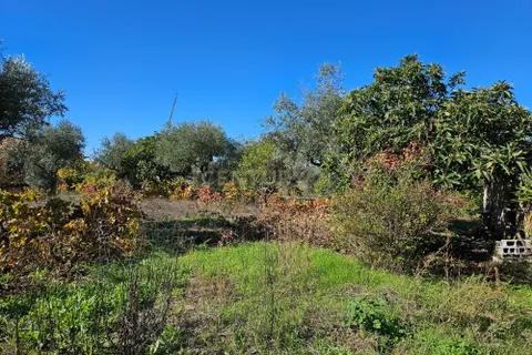 Helårsgrund i Castelo Branco, Castelo Branco, Castelo Branco - € 52.000 | Ref: C0434-01031 - foto 12