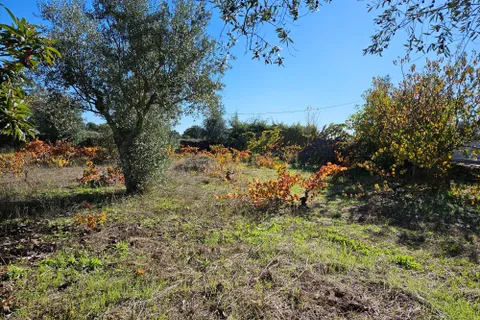 Helårsgrund i Castelo Branco, Castelo Branco, Castelo Branco - € 52.000 | Ref: C0434-01031 - foto 16