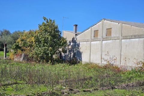 Helårsgrund i Castelo Branco, Castelo Branco, Castelo Branco - € 65.000 | Ref: C0434-01136 - foto 1